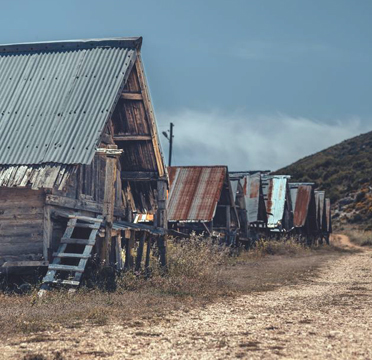Photo by UMUT 🆁🅰🆆 at Pexels