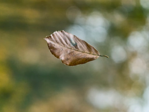 Photo by Wolfgang Hasselmann on Unsplash