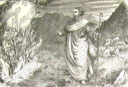 Illustration from the 1890 Holman Bible at Wikimedia Commons.