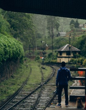 Photo by Eslam Mohammed Abdelmaksoud at Pexels.
