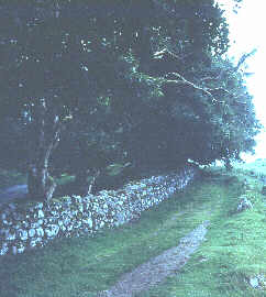 Picture is of an old green road, made so that the Irish could try to get to work in the potato famine years.