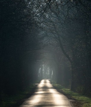 Photo by Alex Fu at Pexels.