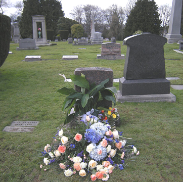 Photo courtesy of Wikimedia Commons.