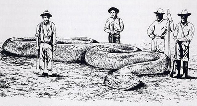 Drawing by Xavier Sistach at Wikimedia Commons.