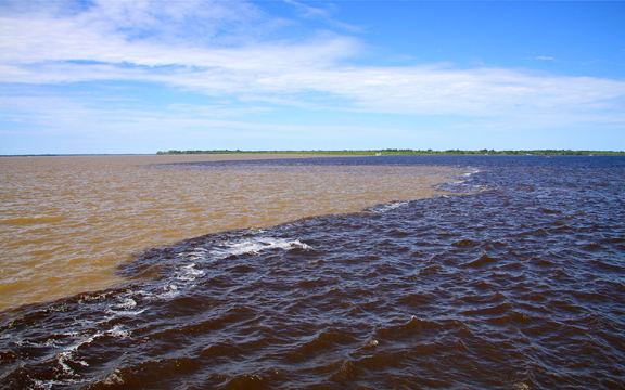 Photo by Gabriel Castaldini at Wikimedia Commons.