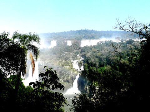 Photo by Ricardo Freitas at Wikimedia Commons.
